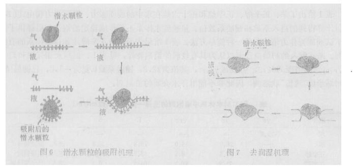 圖6、7.JPG